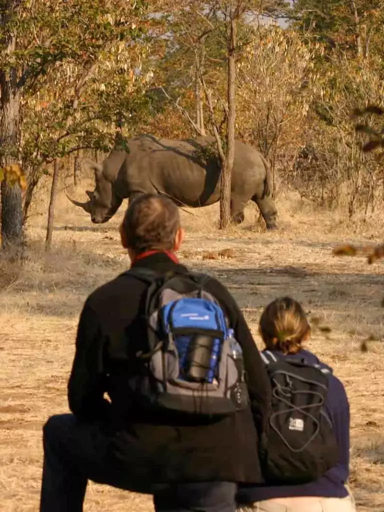 CO Portrait Rhino Walk by Batonka Guest Lodge
