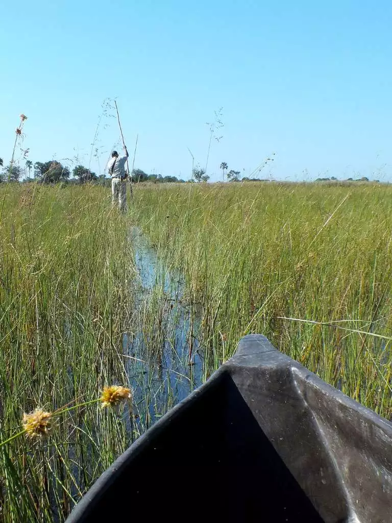 CO Portrait Mokoro ride Okavango Delta by Pascal King