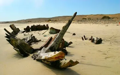 The Namib’s quiet secrets