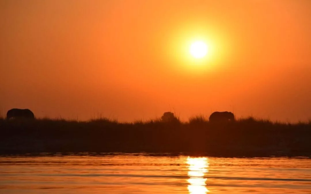 Tara and Matt’s Adventure