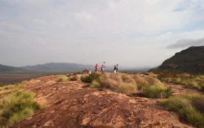 Kenya Beyond the Great Migration